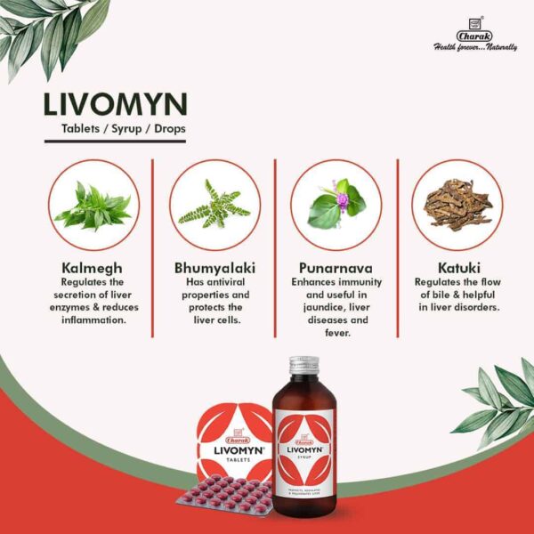 LIVOMYN SYRUP 200ML - Image 3